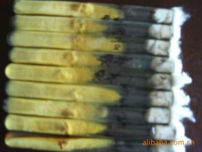 舒城县金大地菌种厂 高品质食用菌菌种产品与进出口业务概览