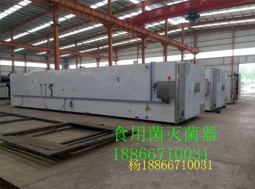 公司黑木耳方形高压蒸汽灭菌器高清图片及食用菌菌种进出口解析